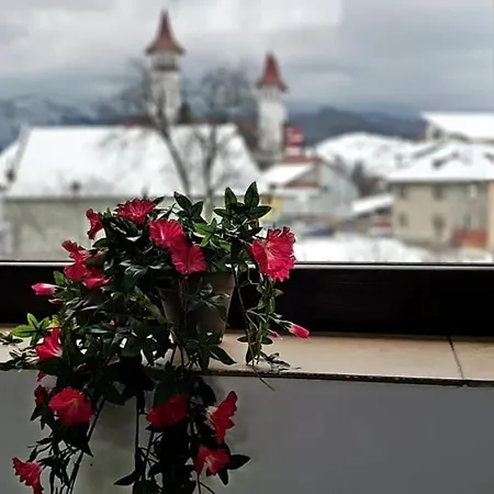 William's 3* Brasov